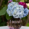 Cottage Vase - Amethyst